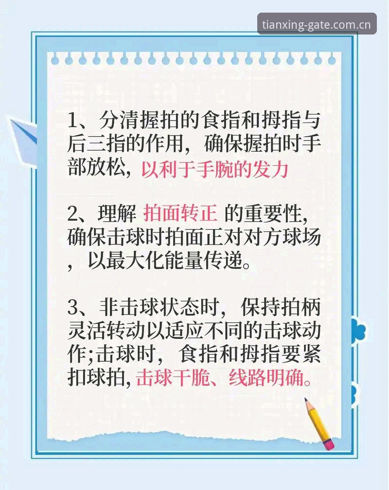 天行体育网页版评测：新手实用操作指南与必备技巧