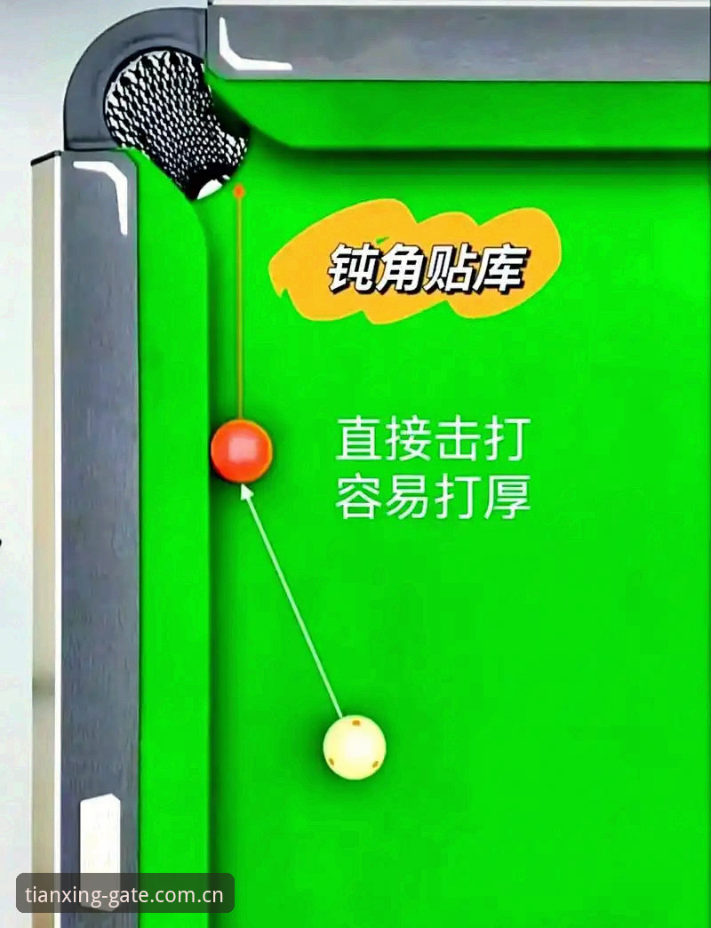 天行体育网页版评测：新手实用操作指南与必备技巧